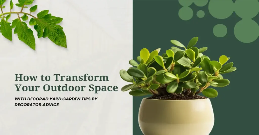 decoradyard garden tips by decoratoradvice
